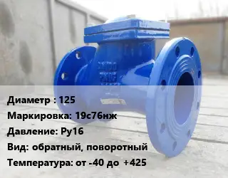 Клапан стальной 125 19с76нж Ру16 обратный, поворотный от -40 до +425